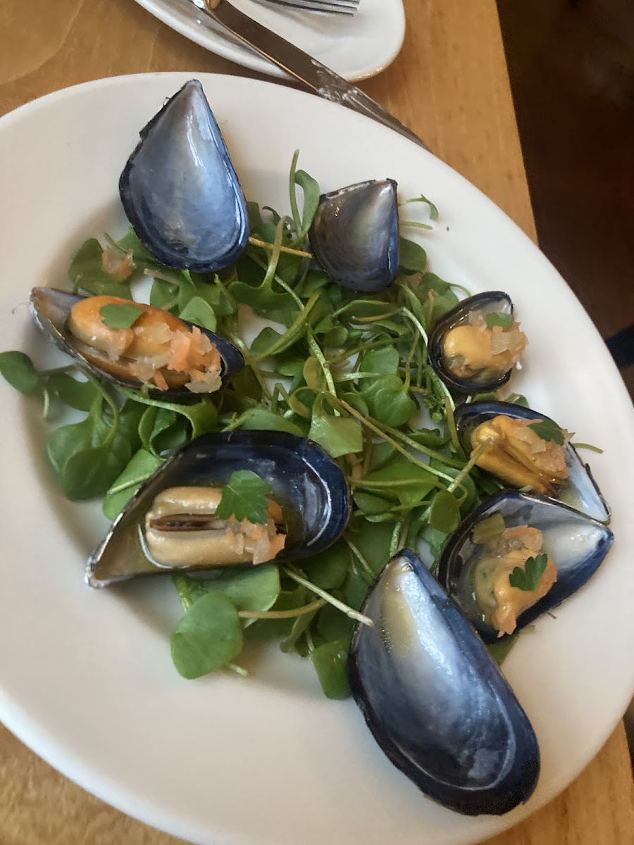 Starry Night Café-6